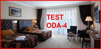 Otel Widget Test